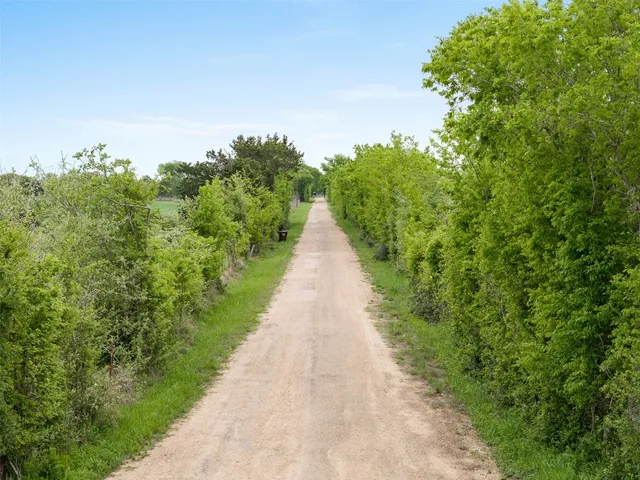 a view of a lush green forest