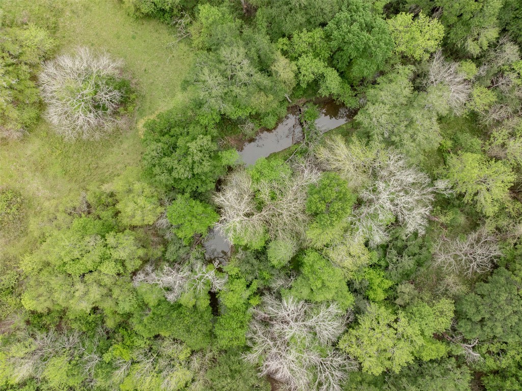 433 Dime Dime Box, TX 77853 - Photo 7 of 24 a view of a lush green forest