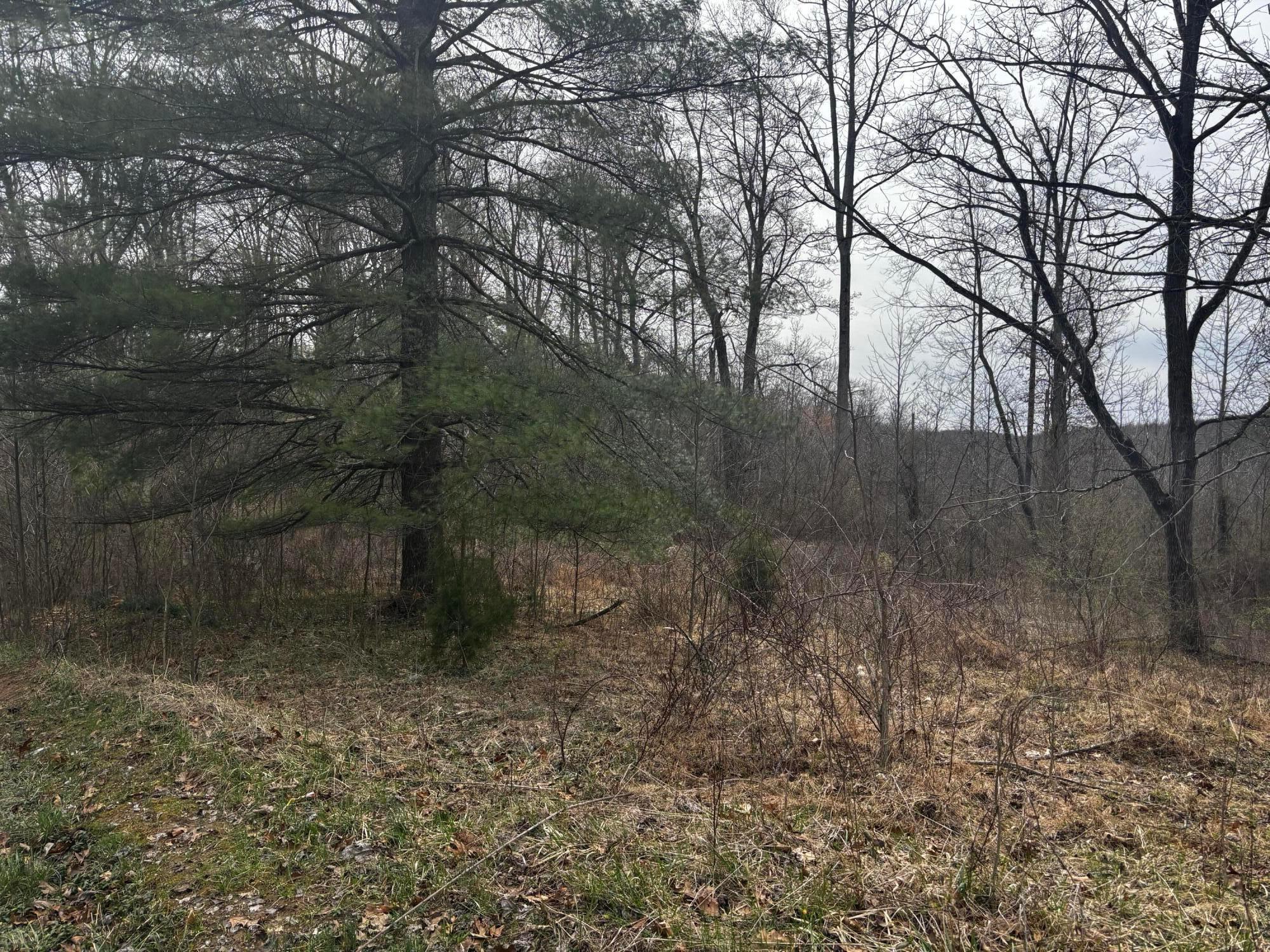 799 Woodruff Road Vinton, OH 45686 - Photo 7 of 8 IMG_2219