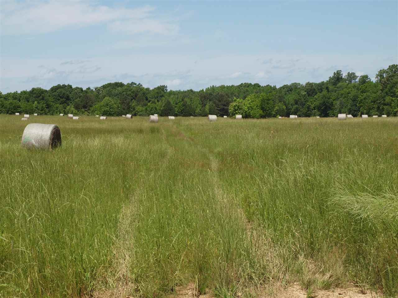 0 McBride Road Canton, MS 39046 - Photo 1 of 28 Photo 1