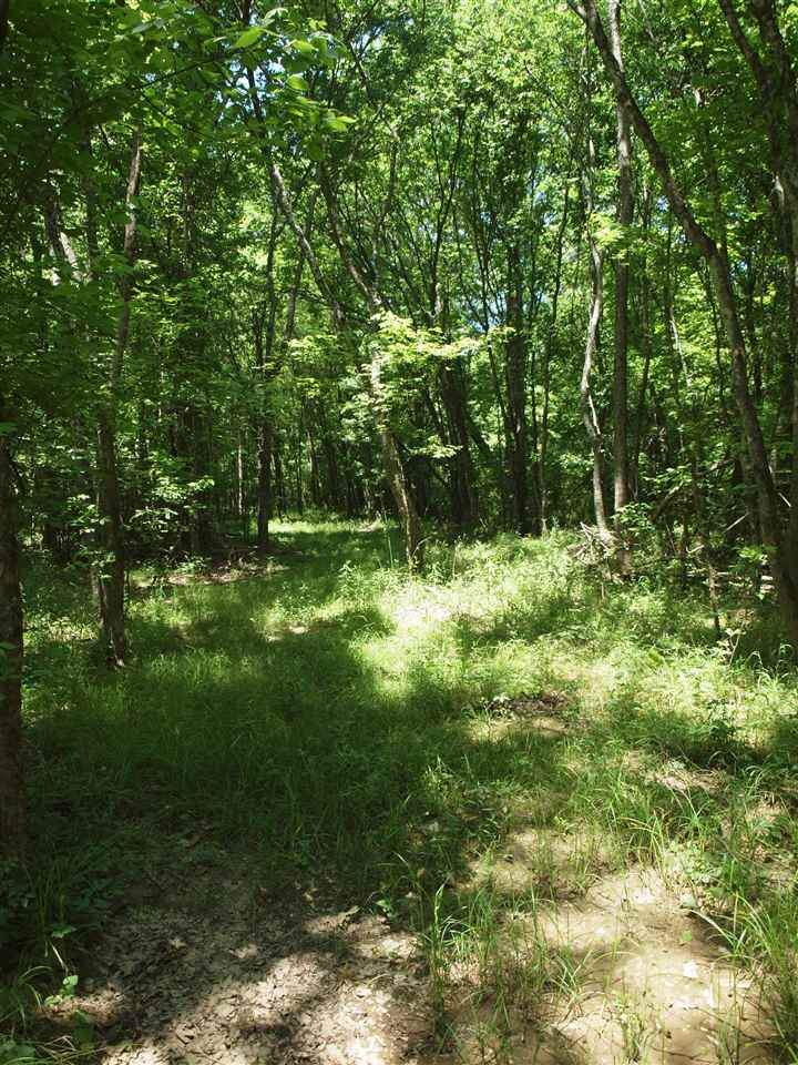 0 McBride Road Canton, MS 39046 - Photo 11 of 28 Photo 11
