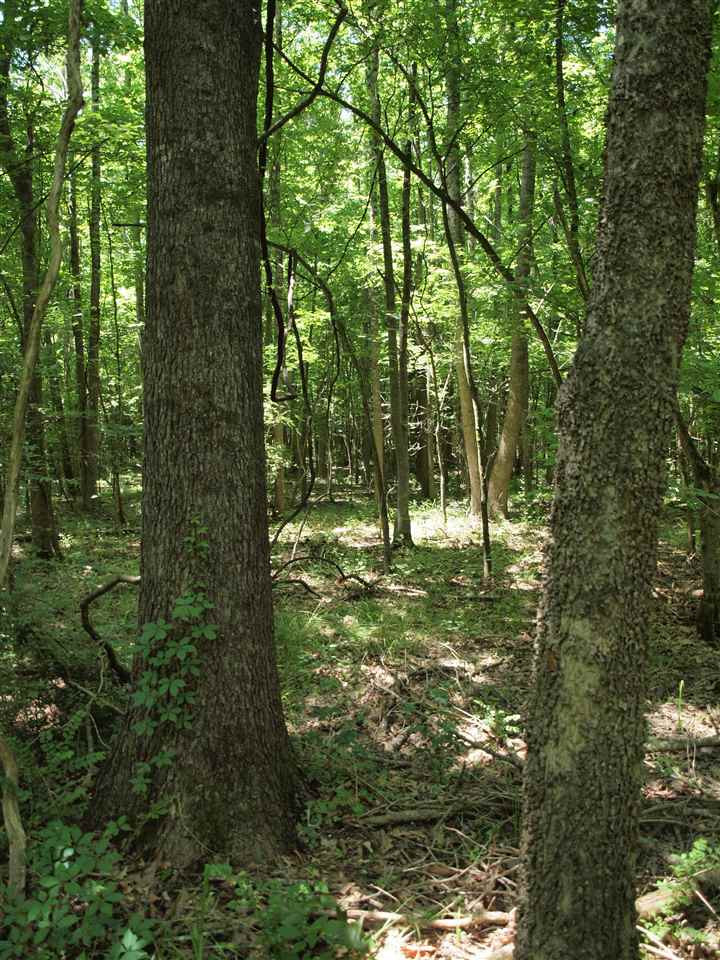 0 McBride Road Canton, MS 39046 - Photo 12 of 28 Photo 12