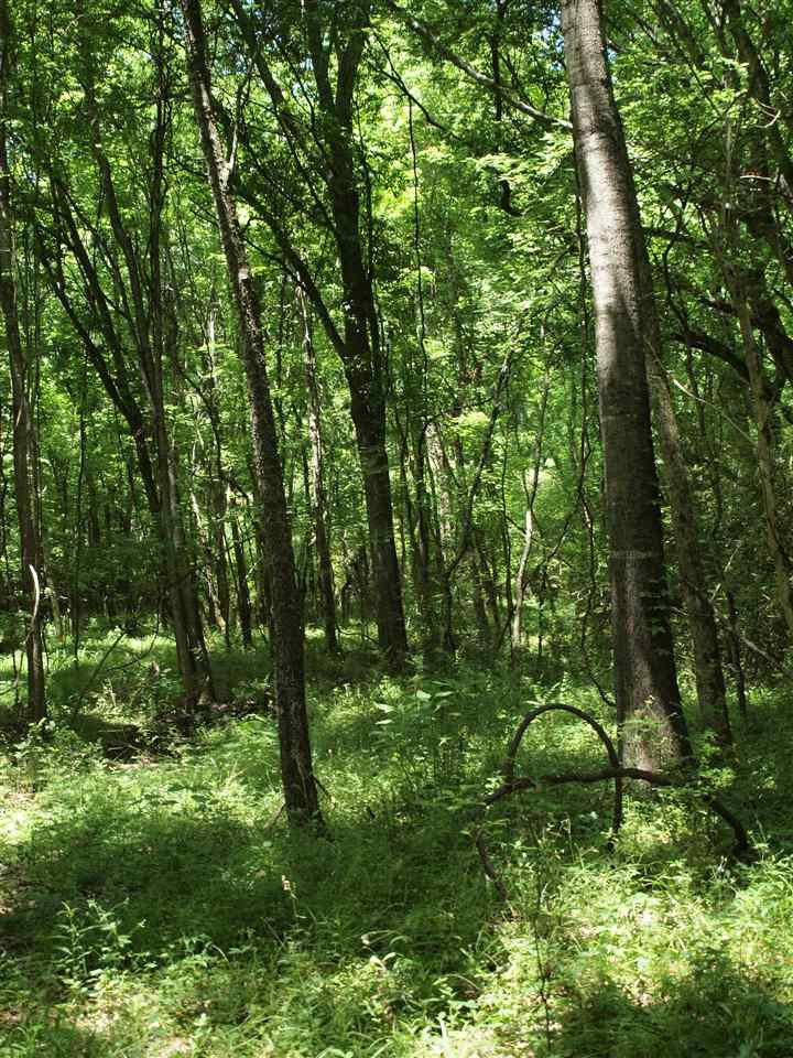 0 McBride Road Canton, MS 39046 - Photo 13 of 28 Photo 13