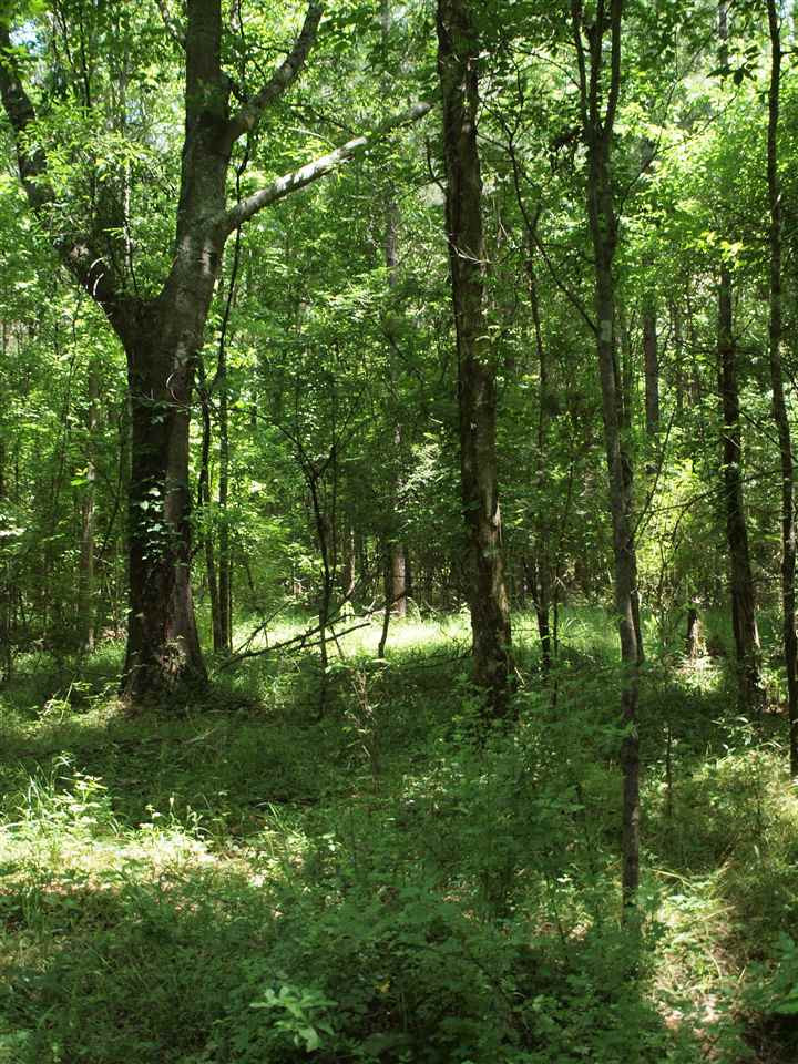 0 McBride Road Canton, MS 39046 - Photo 14 of 28 Photo 14