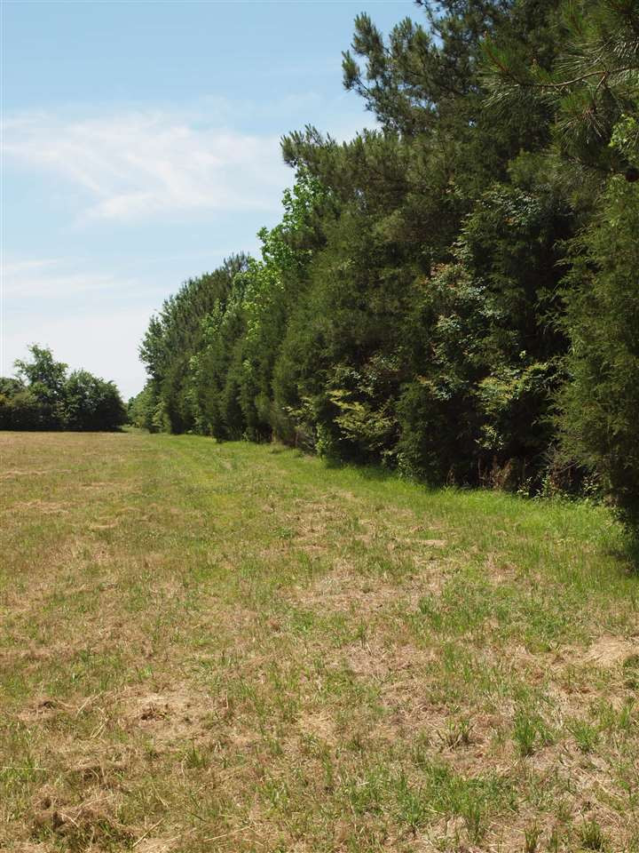0 McBride Road Canton, MS 39046 - Photo 15 of 28 Photo 15