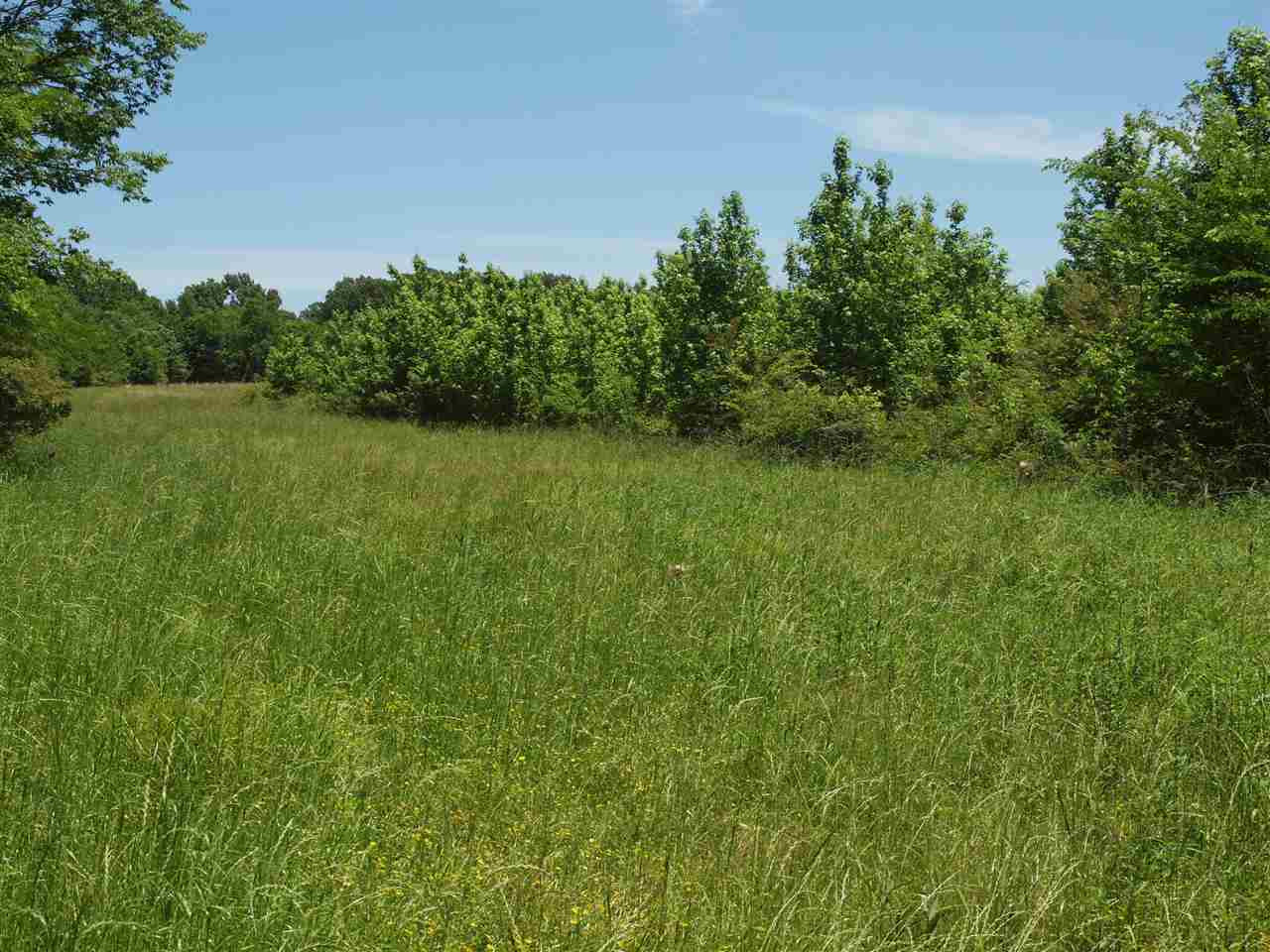 0 McBride Road Canton, MS 39046 - Photo 16 of 28 Photo 16