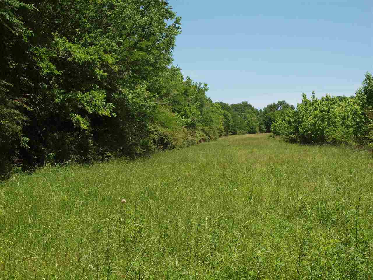 0 McBride Road Canton, MS 39046 - Photo 17 of 28 Photo 17