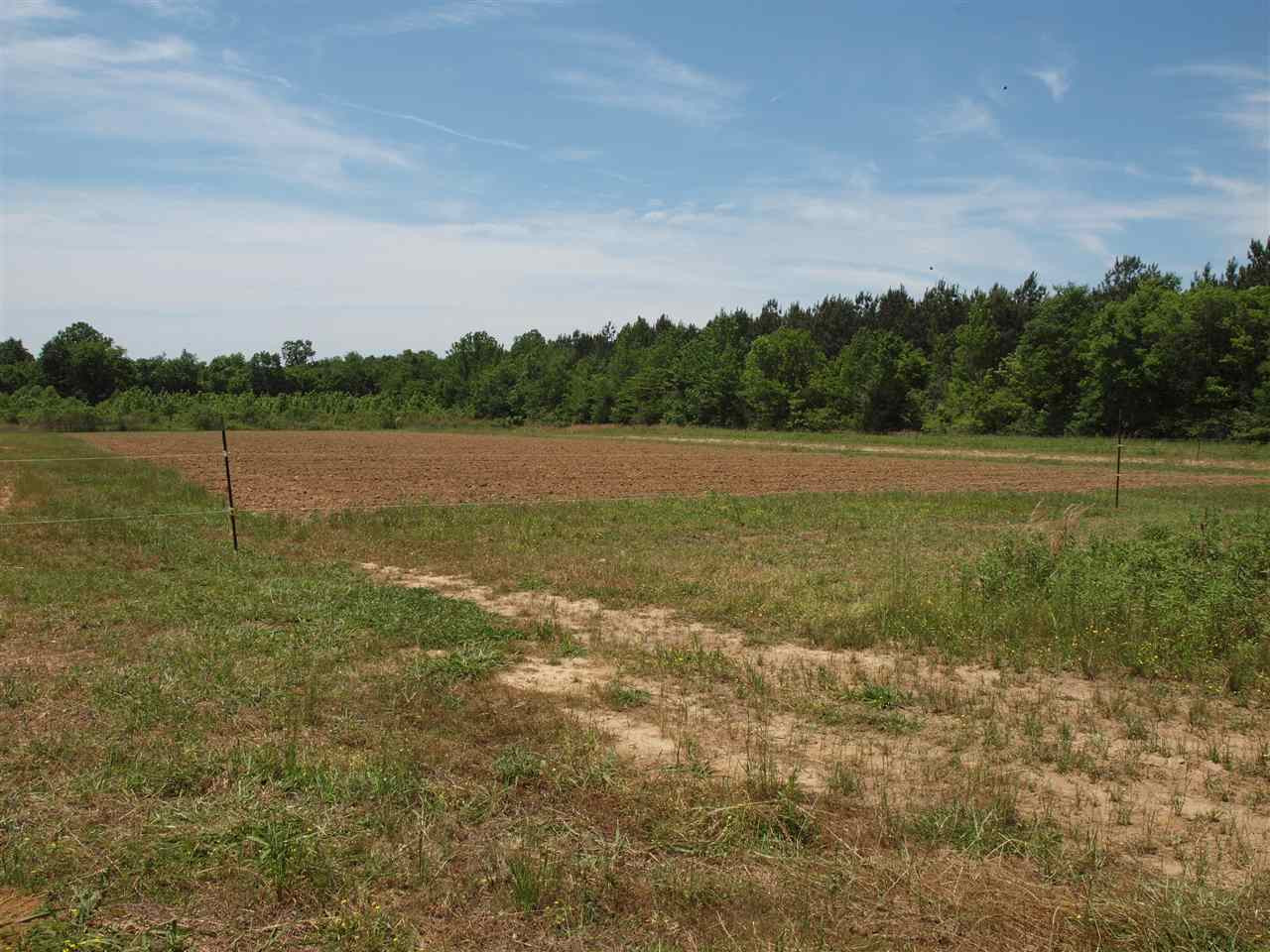 0 McBride Road Canton, MS 39046 - Photo 19 of 28 Photo 19