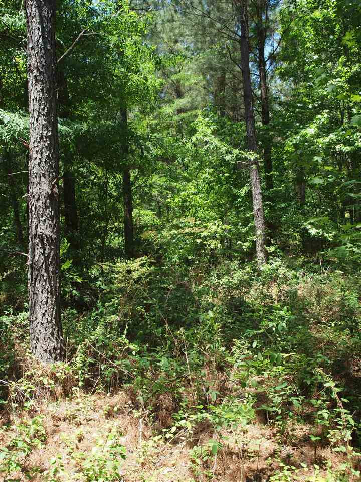 0 McBride Road Canton, MS 39046 - Photo 21 of 28 Photo 21