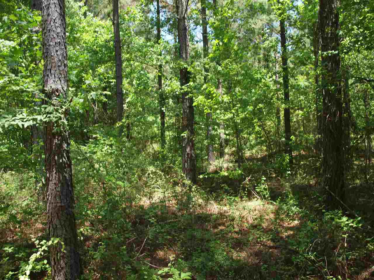 0 McBride Road Canton, MS 39046 - Photo 22 of 28 Photo 22