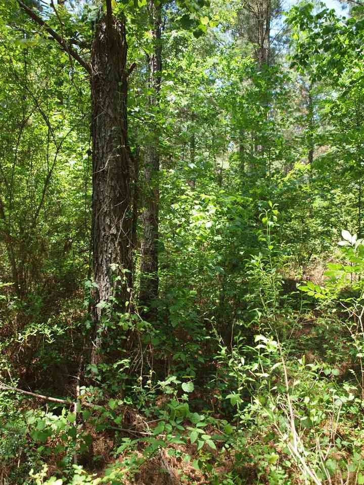 0 McBride Road Canton, MS 39046 - Photo 23 of 28 Photo 23