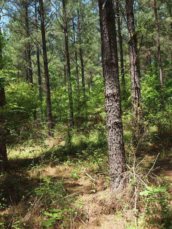 0 McBride Road Canton, MS 39046 - Photo 24 of 28 Photo 24