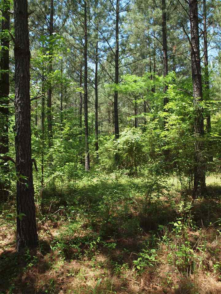 0 McBride Road Canton, MS 39046 - Photo 25 of 28 Photo 25