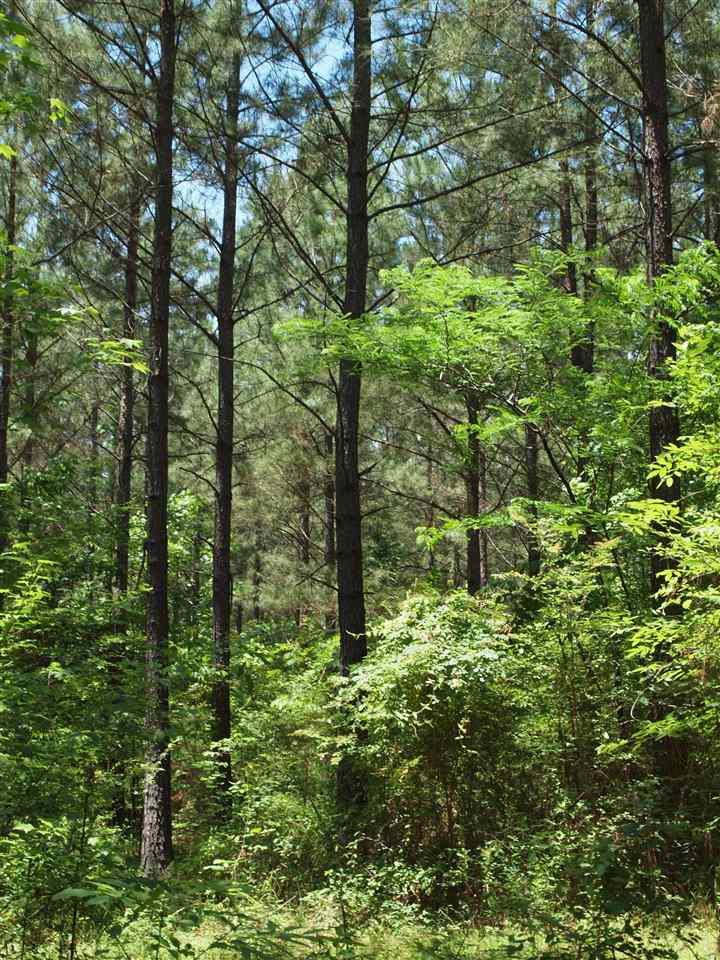 0 McBride Road Canton, MS 39046 - Photo 26 of 28 Photo 26