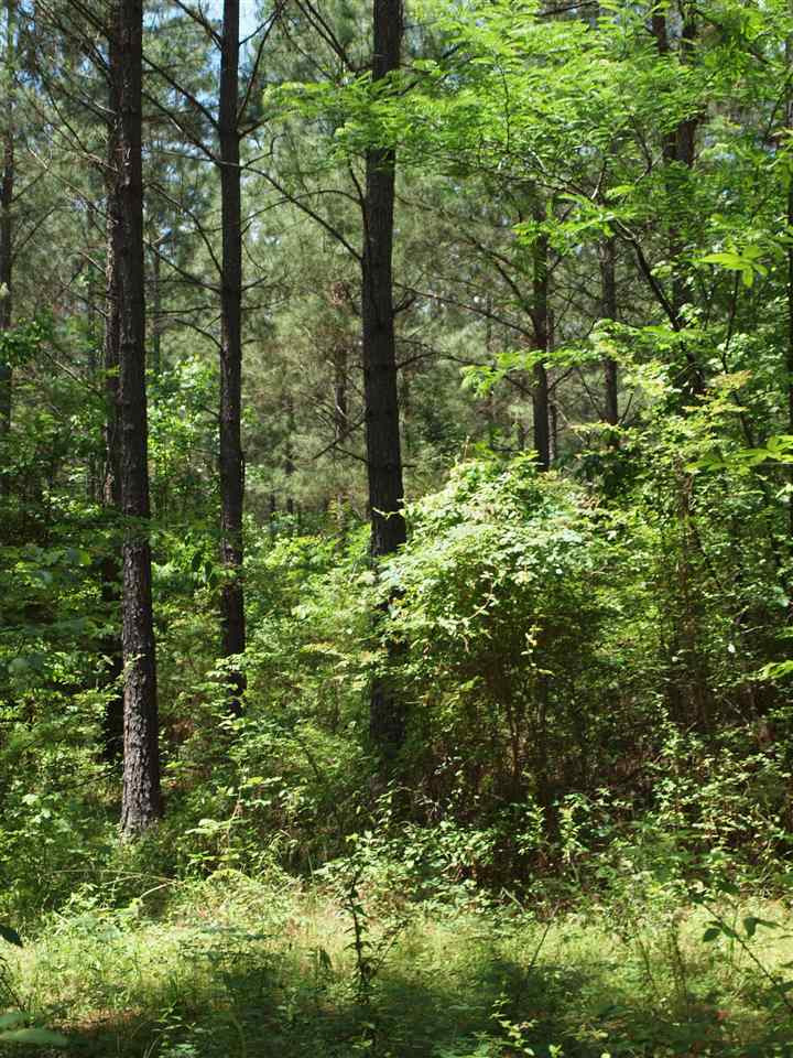 0 McBride Road Canton, MS 39046 - Photo 27 of 28 Photo 27