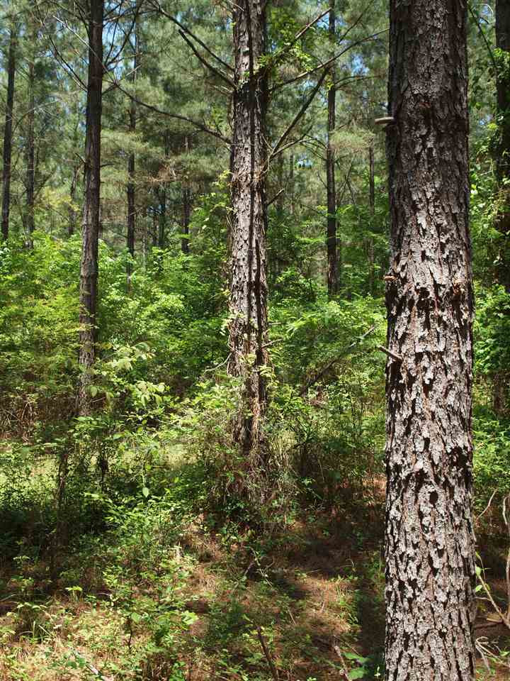 0 McBride Road Canton, MS 39046 - Photo 28 of 28 Photo 28