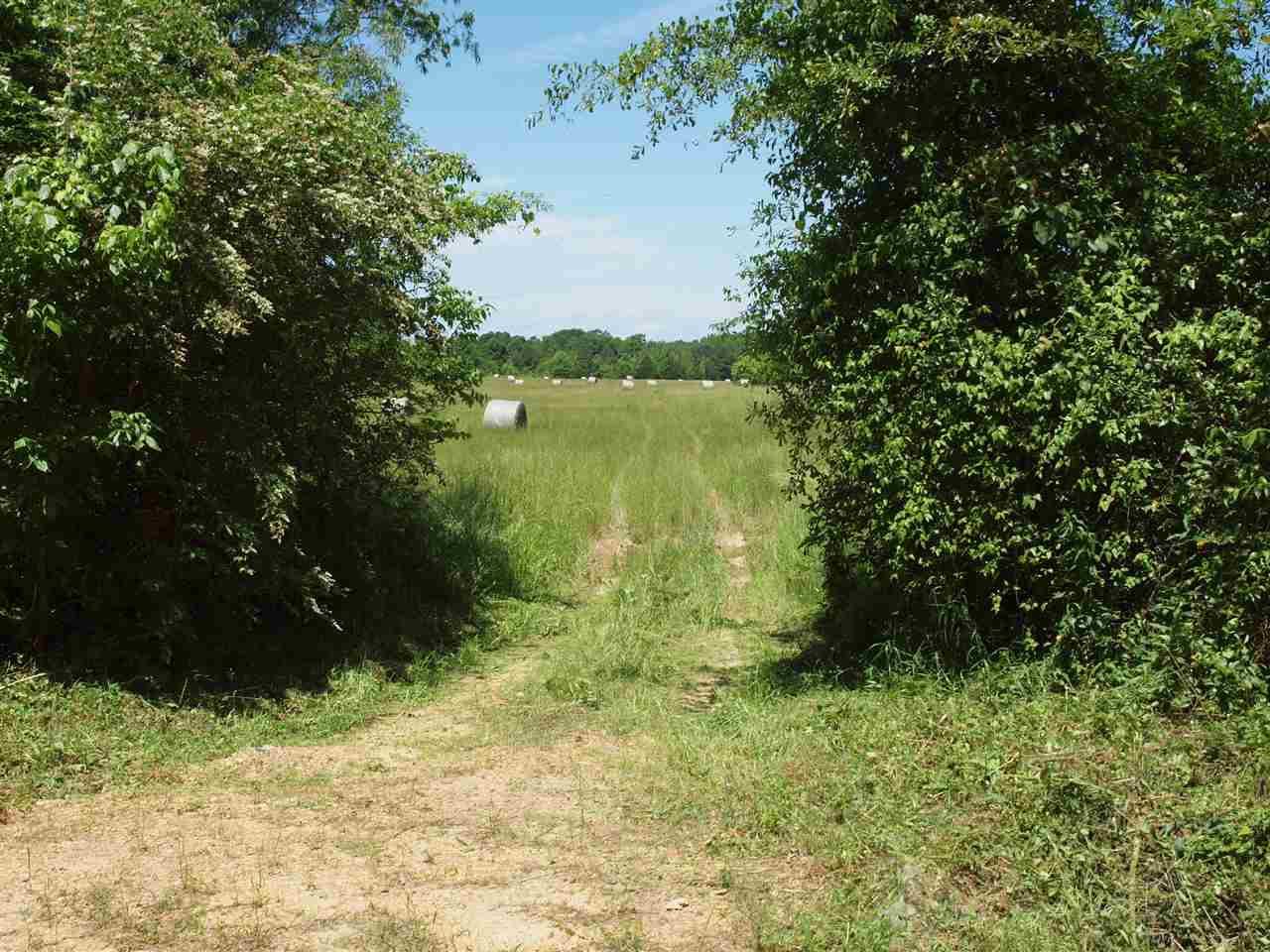 0 McBride Road Canton, MS 39046 - Photo 3 of 28 Photo 3