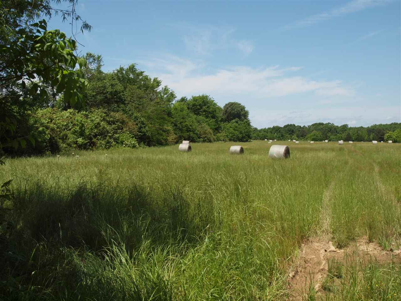 0 McBride Road Canton, MS 39046 - Photo 4 of 28 Photo 4