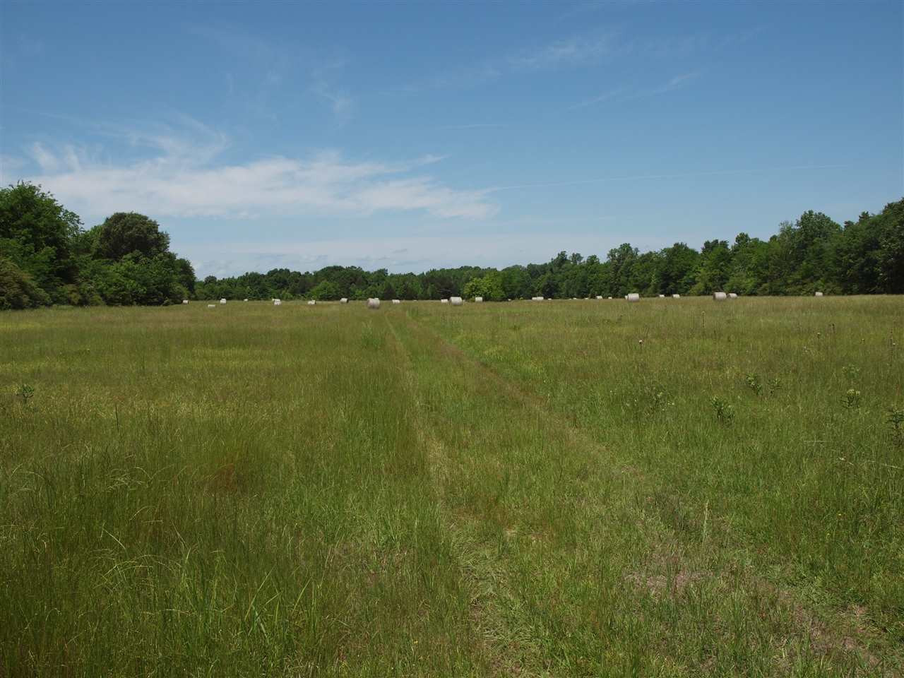 0 McBride Road Canton, MS 39046 - Photo 5 of 28 Photo 5
