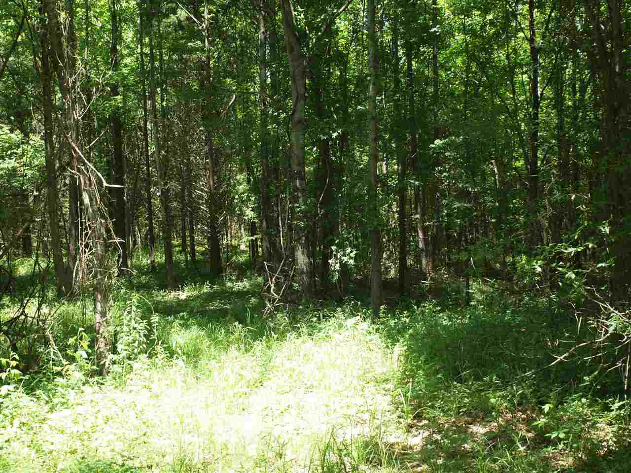 0 McBride Road Canton, MS 39046 - Photo 8 of 28 Photo 8