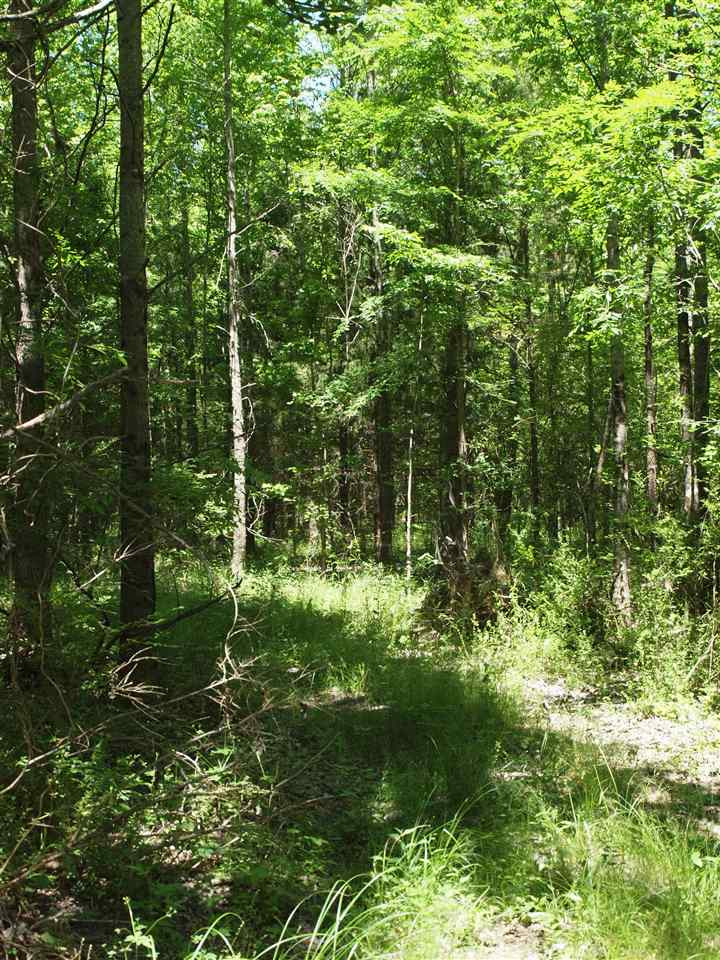 0 McBride Road Canton, MS 39046 - Photo 9 of 28 Photo 9