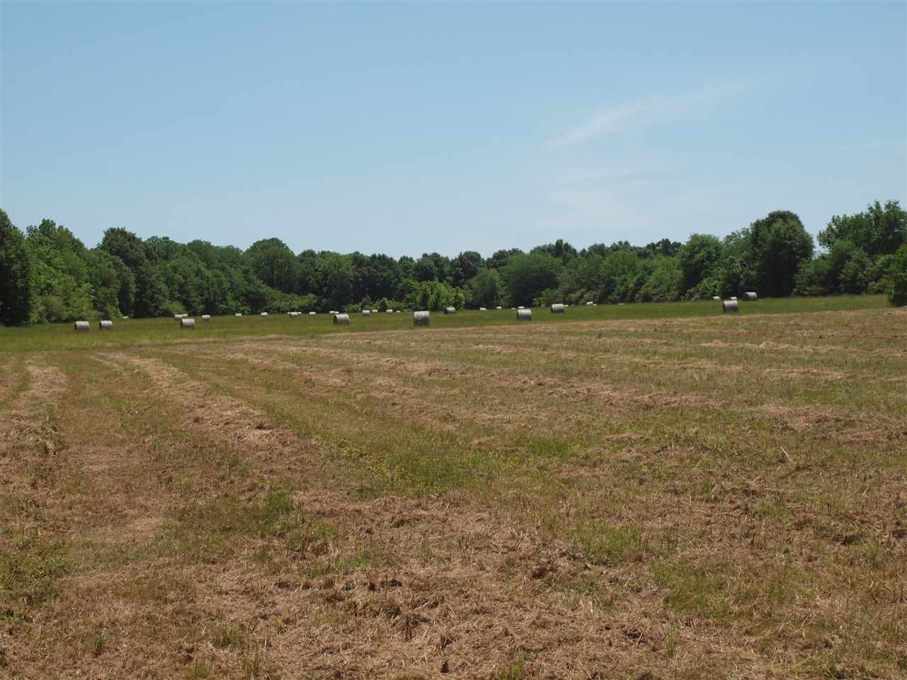 0 McBride Road Canton, MS 39046 - Photo 10 of 28 Photo 10