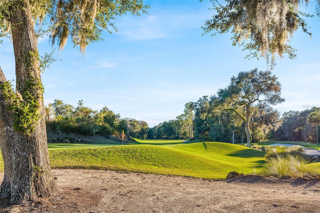 4235 Southwest 91st Drive Gainesville, FL 32608 - Photo 46 of 50