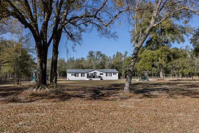 a view of large trees with outdoor space