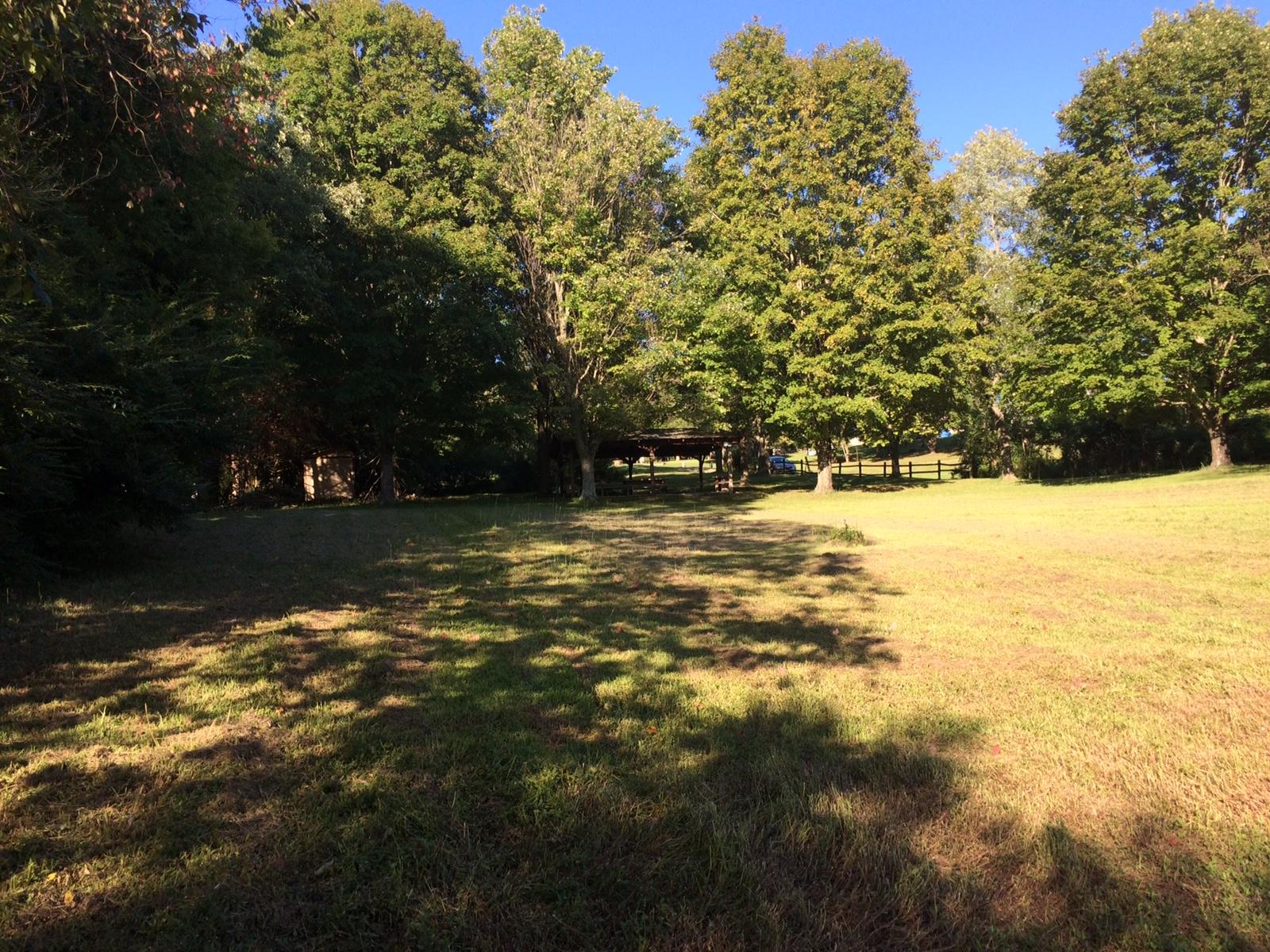 Riverview Church Rd Road Bean Station, TN 37708 - Photo 13 of 16 Shade on lot