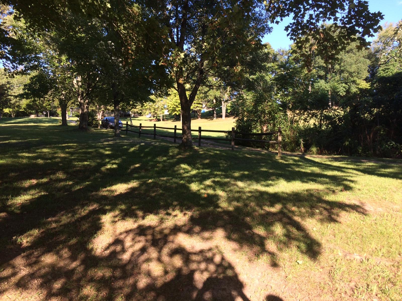 Riverview Church Rd Road Bean Station, TN 37708 - Photo 10 of 16 More shade