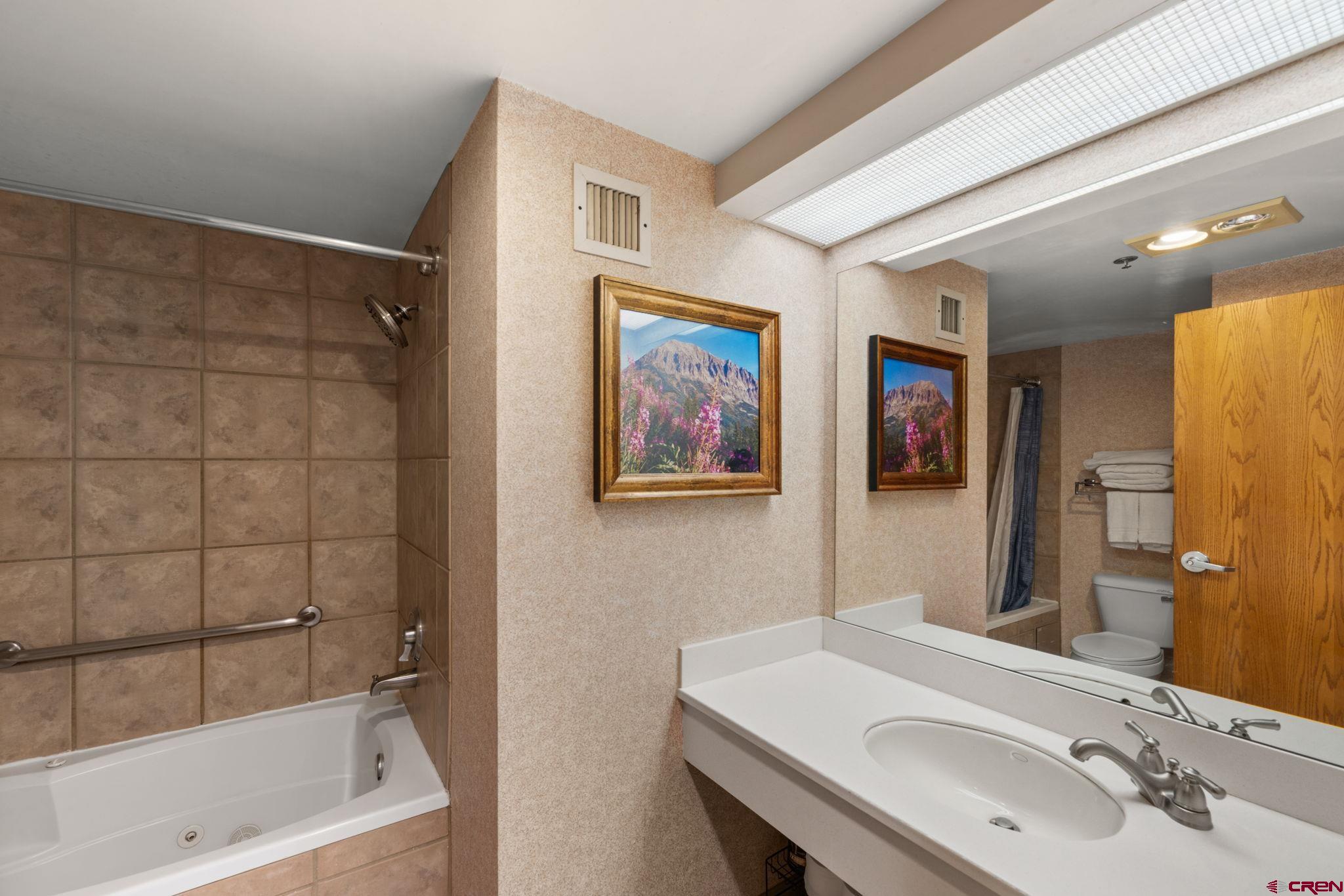 6 Emmons Road, Unit 452 & 454 Crested Butte, CO 81225 - Photo 12 of 38 a bathroom with a sink and a mirror