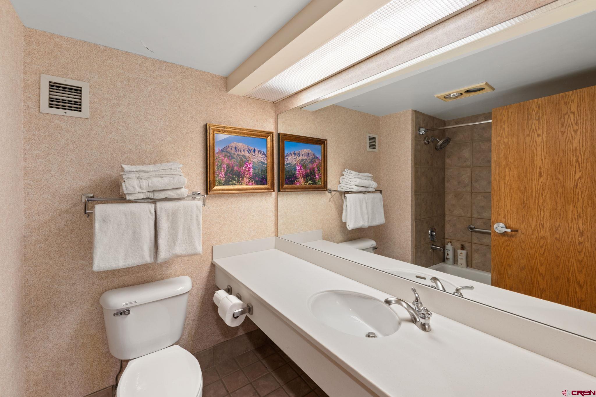 6 Emmons Road, Unit 452 & 454 Crested Butte, CO 81225 - Photo 5 of 38 a bathroom with a toilet sink and mirror