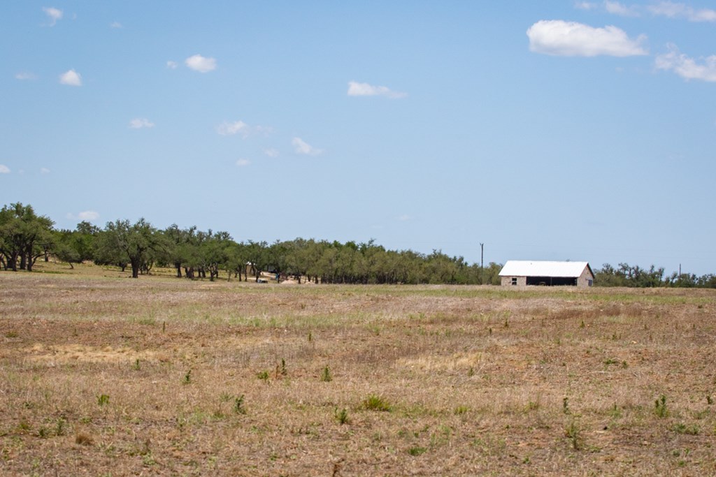 369 Gold-Schaefer Road Fredericksburg, TX 78624 - Photo 14 of 20