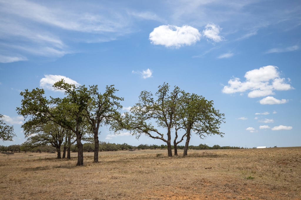 369 Gold-Schaefer Road Fredericksburg, TX 78624 - Photo 16 of 20