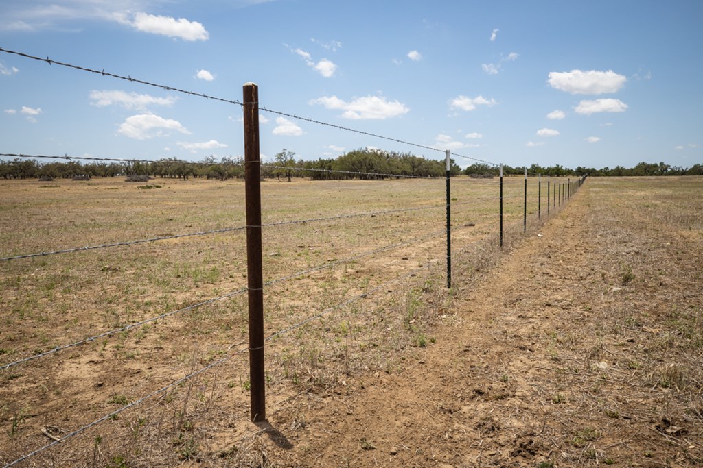 369 Gold-Schaefer Road Fredericksburg, TX 78624 - Photo 17 of 20