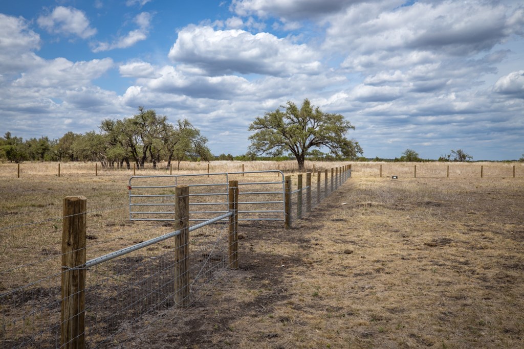 369 Gold-Schaefer Road Fredericksburg, TX 78624 - Photo 18 of 20