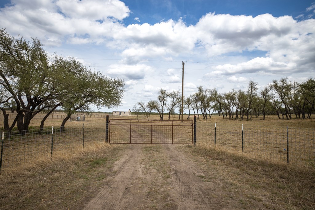 369 Gold-Schaefer Road Fredericksburg, TX 78624 - Photo 20 of 20