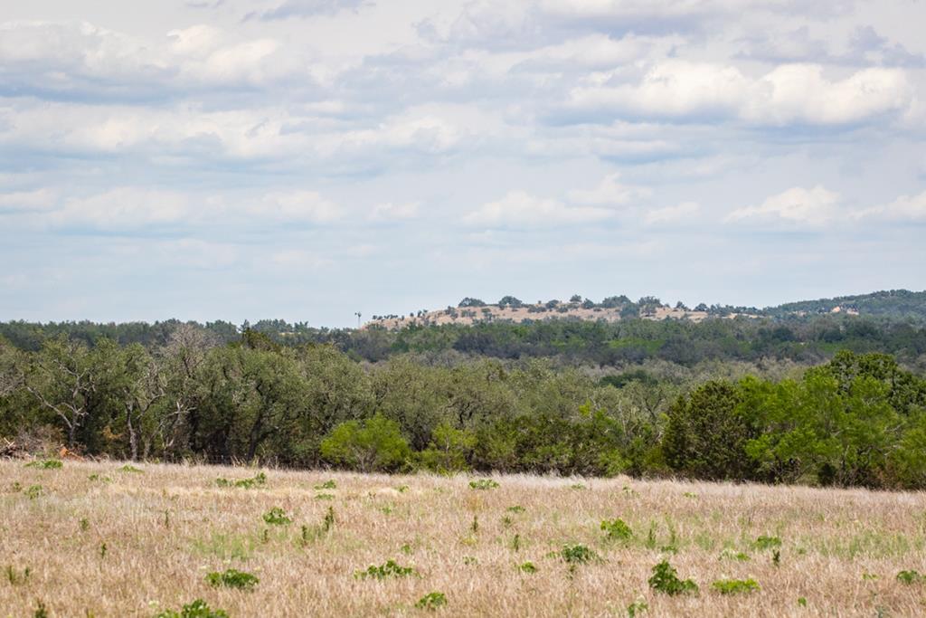 369 Gold-Schaefer Road Fredericksburg, TX 78624 - Photo 2 of 20