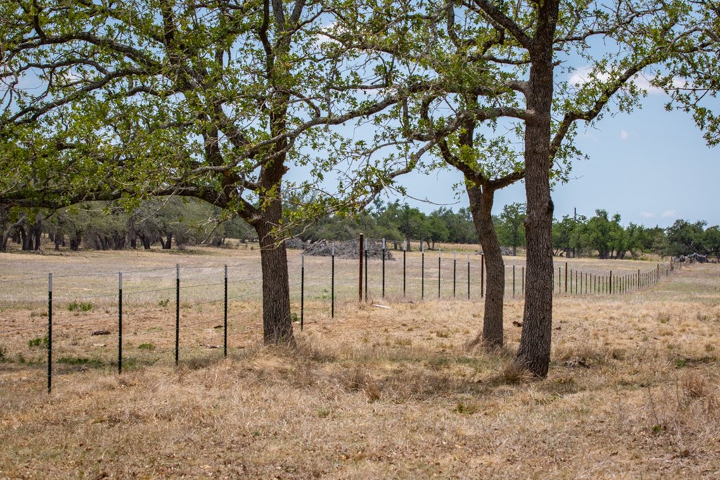 369 Gold-Schaefer Road Fredericksburg, TX 78624 - Photo 8 of 20