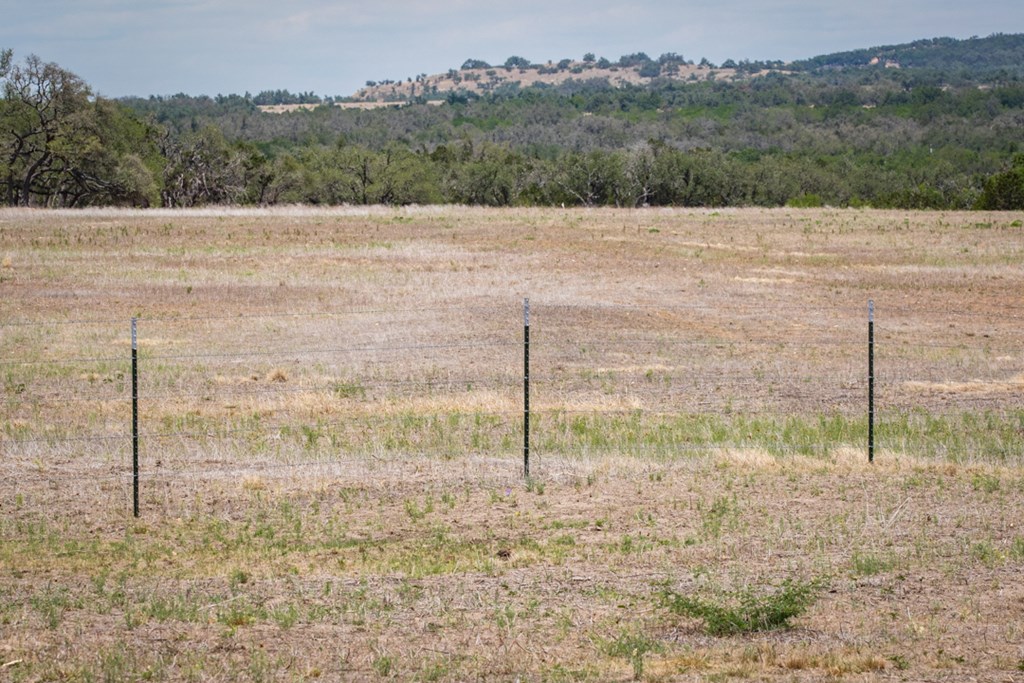 369 Gold-Schaefer Road Fredericksburg, TX 78624 - Photo 9 of 20