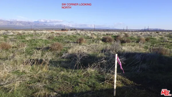 a black and white photo of a painting