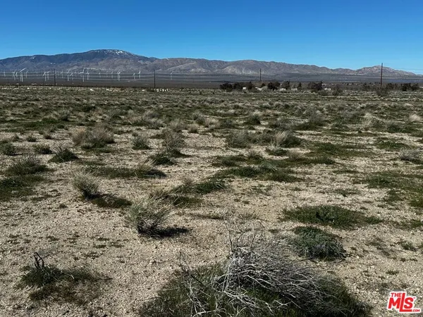 a view of an outdoor space and a yard