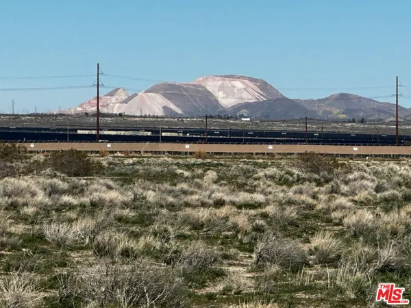 a view of a swimming pool with a yard