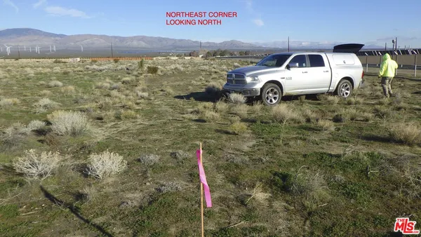 a view of yard with car parked