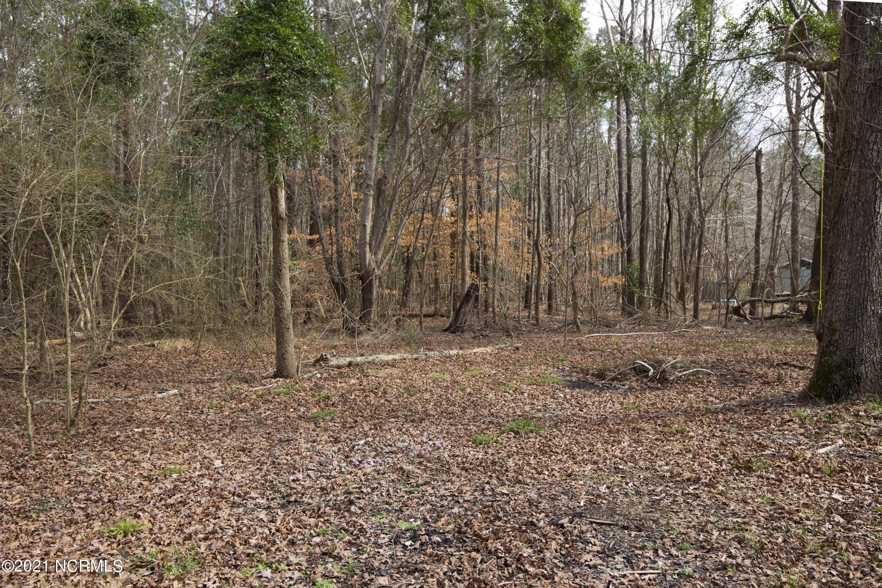 206 Hyman Road New Bern, NC 28562 - Photo 38 of 38 Back Yard