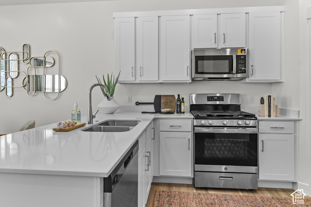 White shaker cabinetry, stainless steel appliances, dual basin sink, and wood-finish flooring