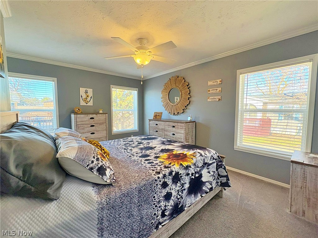180 Coen Road Vermilion, OH 44089 - Photo 17 of 28 Gallery Image 17