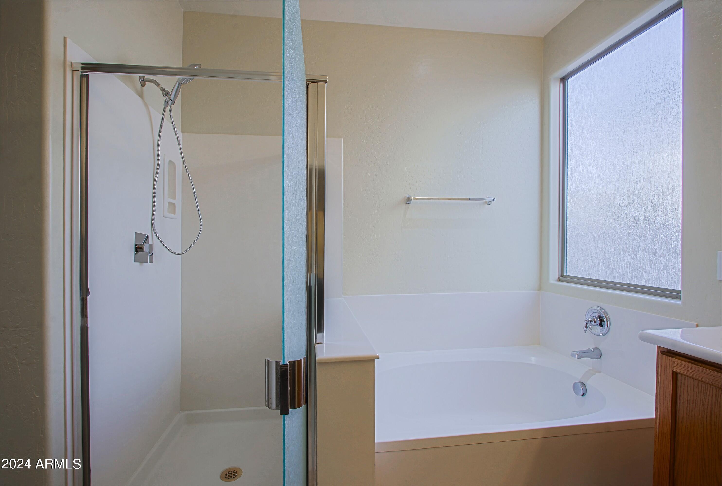 4298 South Ranger Trail Gilbert, AZ 85297 - Photo 14 of 40 Master Bath 2