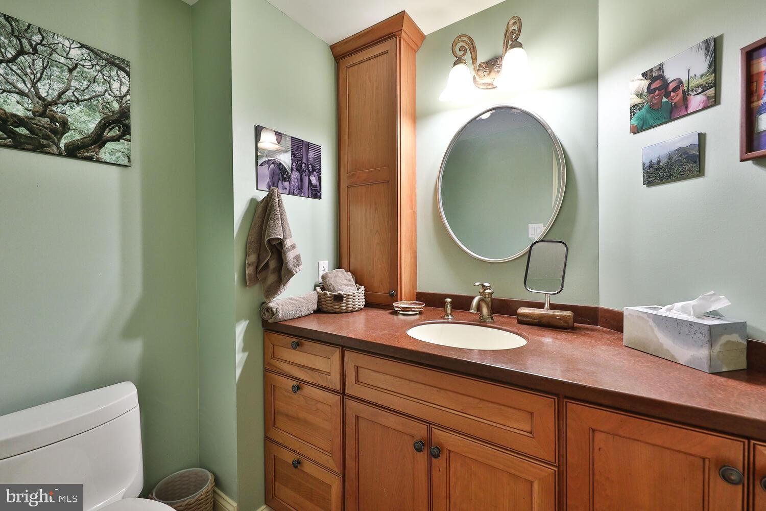 1256 Valley Road Rydal, PA 19046 - Photo 28 of 78 Master bath