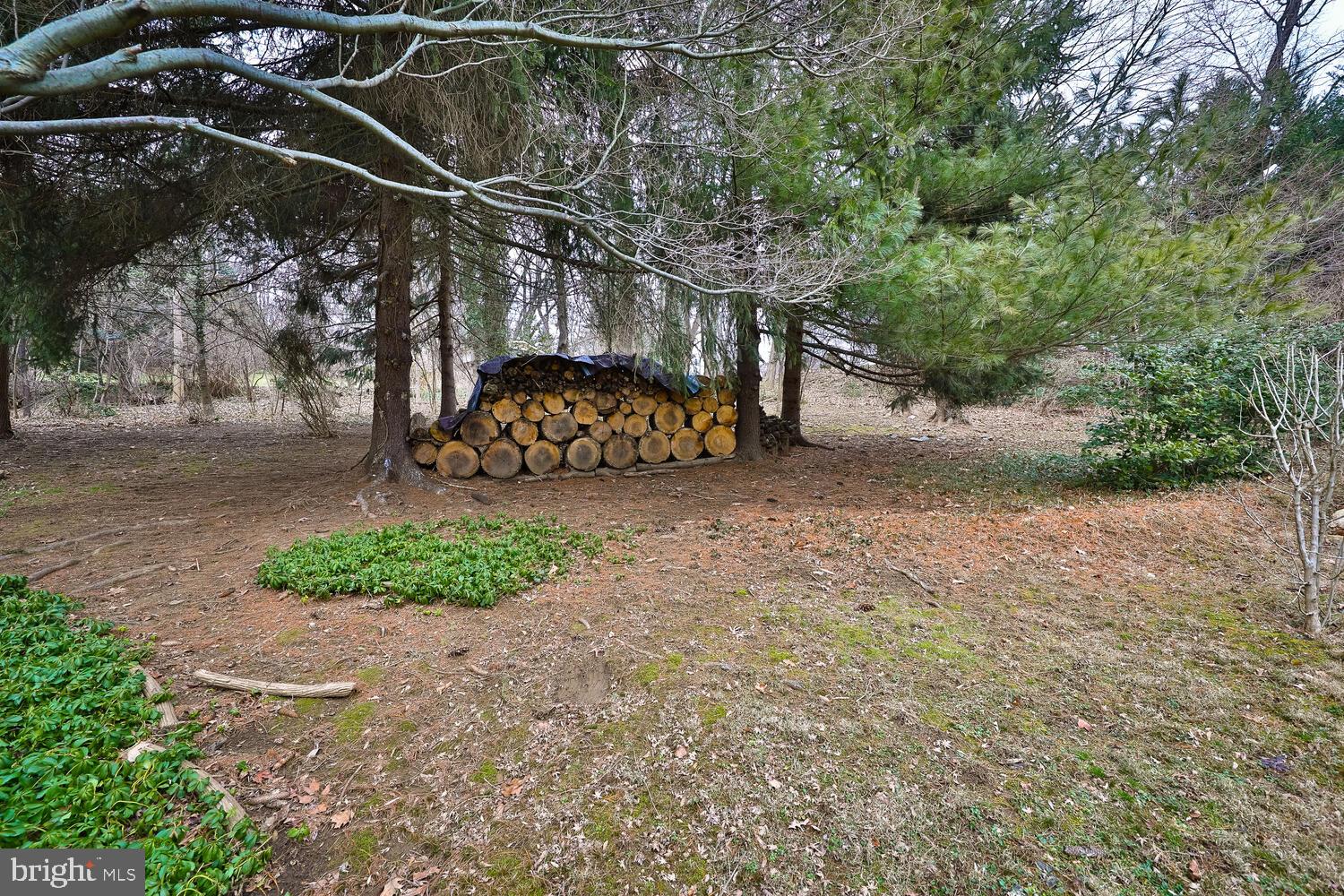 1256 Valley Road Rydal, PA 19046 - Photo 61 of 78